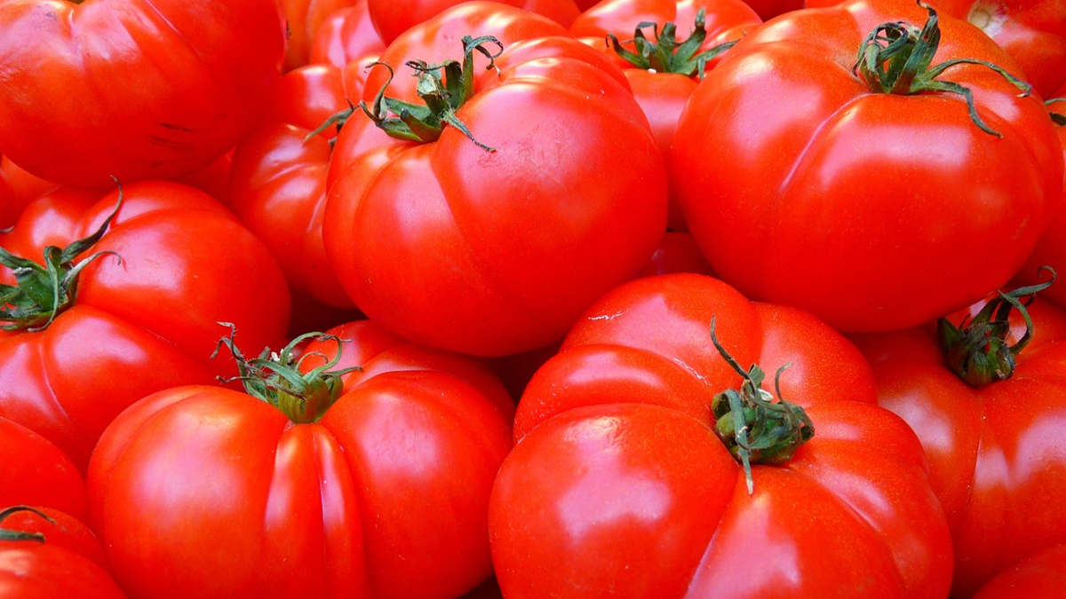 Un nuevo método permite silenciar genes en plantas para mejorar el rendimiento de los cultivos